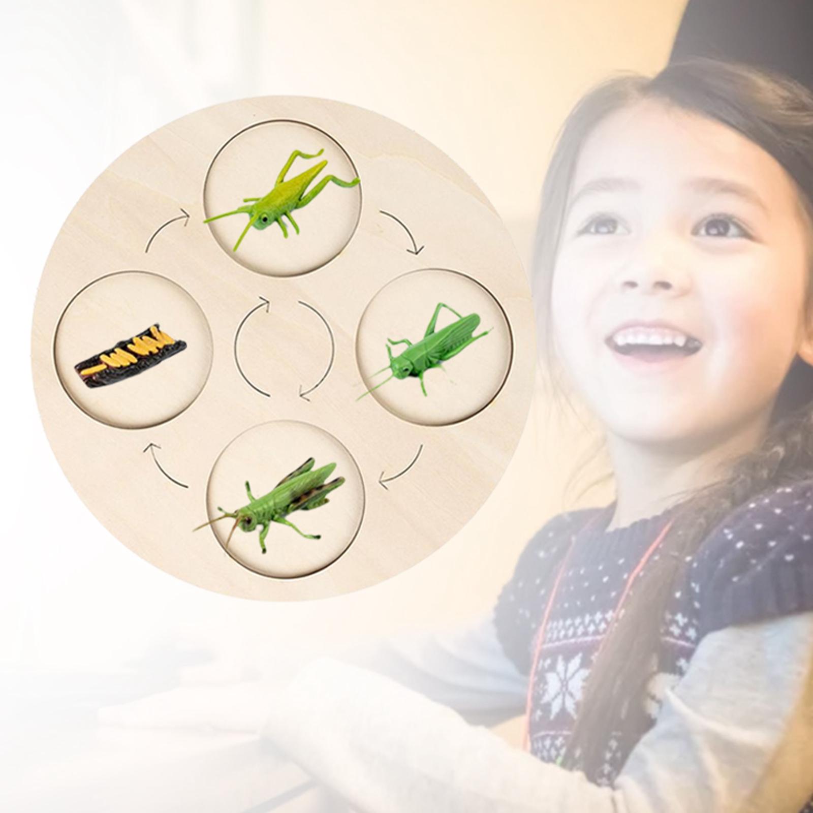 Montessori Life Growth Cycle Board Puzzle do zabawy dla dzieci zwierzęta wczesna edukacja prezenty zabawka na prezenty przedszkole 3 4 5 6 lat dzieci