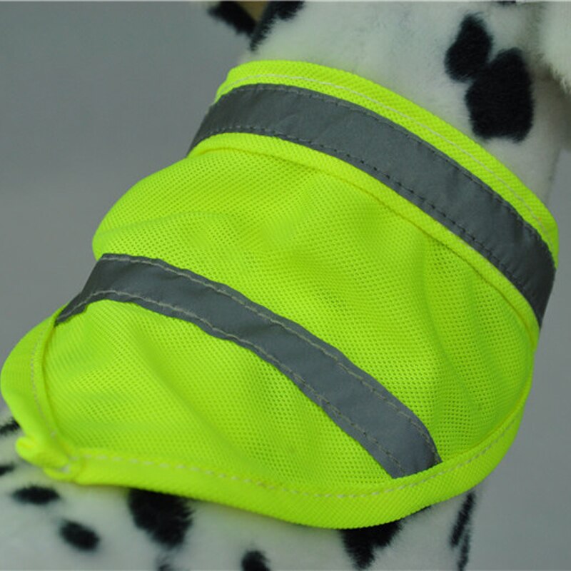 Chihuahua Teddy Huisdier Slabbetjes Reflecterende Hond Speeksel Handdoek Fluorescerende Hond Sjaal Bandana Voor Honden Klittenband Lichtgevende Halsband