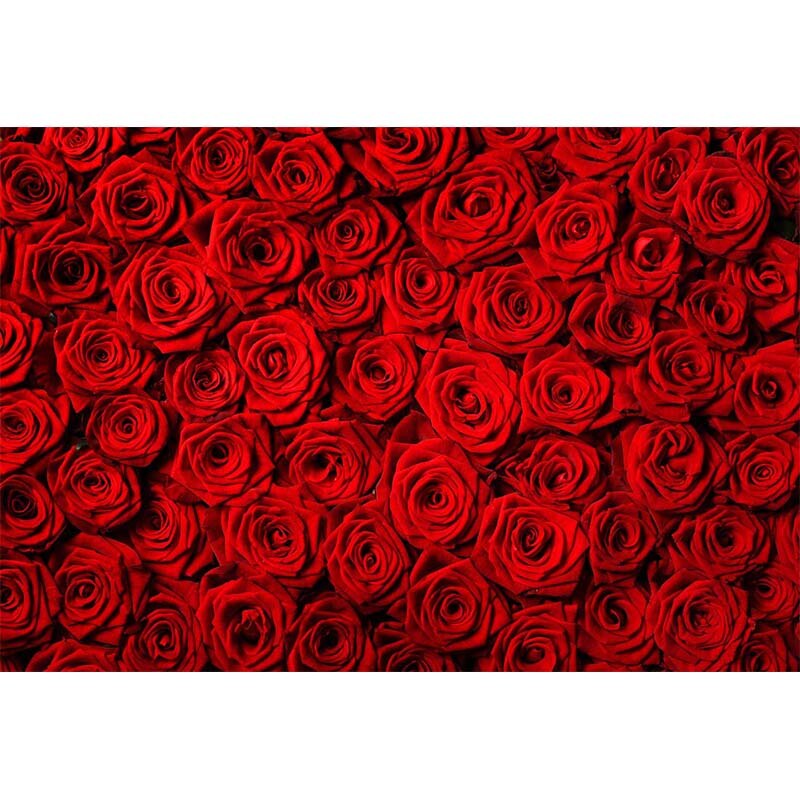 Rote Rose Hintergrund Hochzeit Thema Fotografie Kulissen Mutter der Tag Fotografische Banner Hintergründe für Mutter