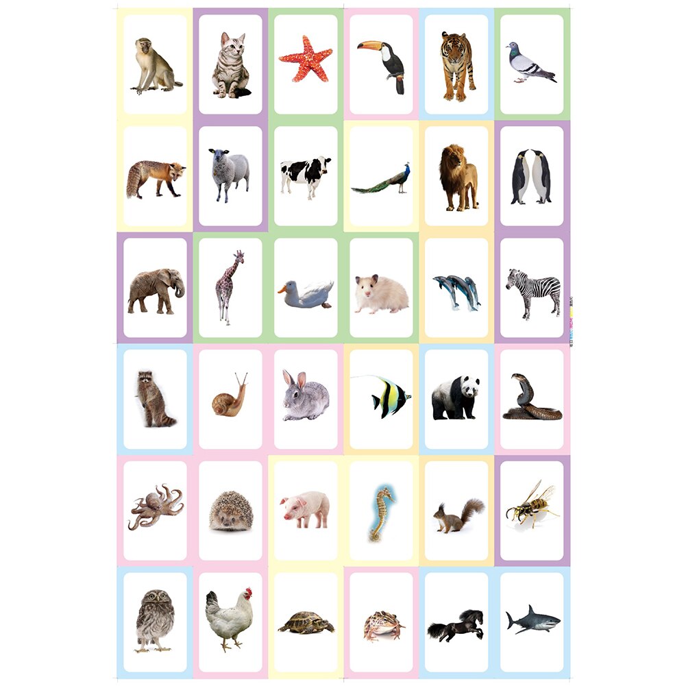36Pcs/Set Cartoon Animal Color English Print Flashcard Education Baby Toy Learning English Ability Early Learning toys