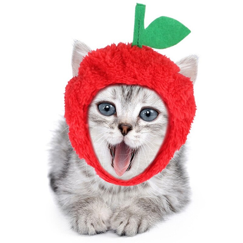 Drôle chat vêtements Pirate Costume vêtements pour chat déguisement vêtements corsaire Halloween vêtements habillage chat fête Costume