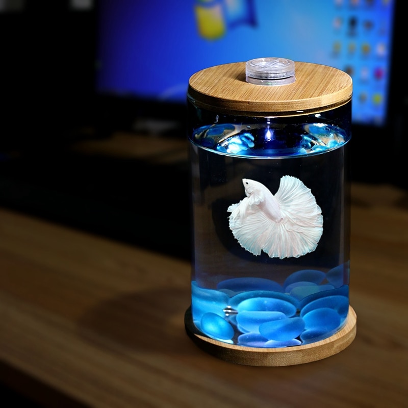 Novel and Strange Toy Miniature Glass Fish Tank DIY Ecology Bottle Desktop Micro-view Office Aquarium for Girl