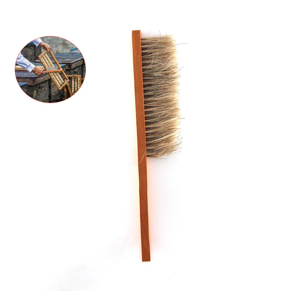 1PCS manen borstel voor vegen schoonmaken bijenkorf gereedschap twee rijen paardestaart haar bee borstels bijenteelt apparatuur voor bijenteelt