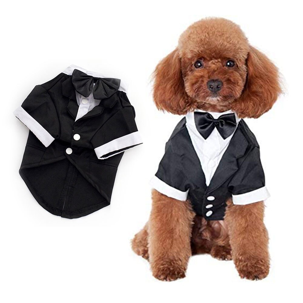 Costume de smoking pour chien, chemise formelle, veste de mariage noire, Costume pour animal de compagnie, chiot, Prince, Costume de cérémonie avec nœud papillon, petit chien, chat