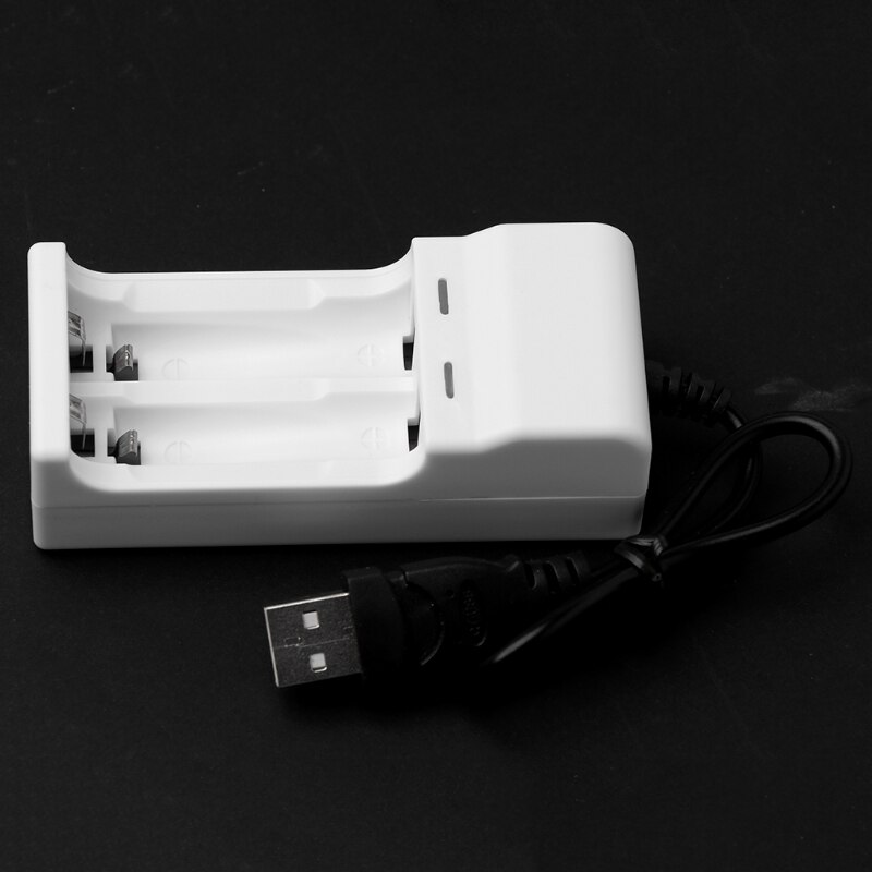 Intelligent 2 spor 1.2v usb-lader for oppladbart nimh nicd aa aaa batteri