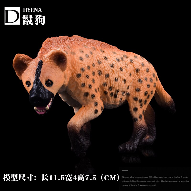 Wild Jungle Zoo Animal Models Collection Model Doll Educational toyWildlife Cognition for children: Hyena