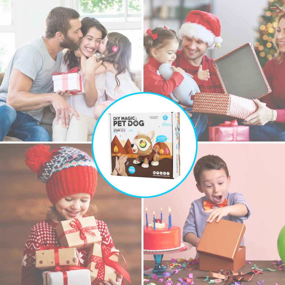 STEM Toy DIY Robot Dog Remote Control Electronics Puppy Pet Interactive with RGB Light Flashing Eye for 6+ Year Old Boys Gi