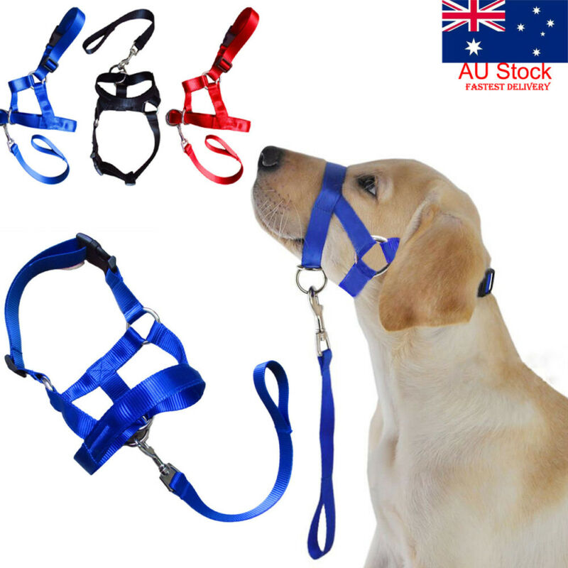 Dog Halter Halti Training Head Collar Gentle Leader Harness Nylon Breakaway All Seasons Usefull Harnesses Lead