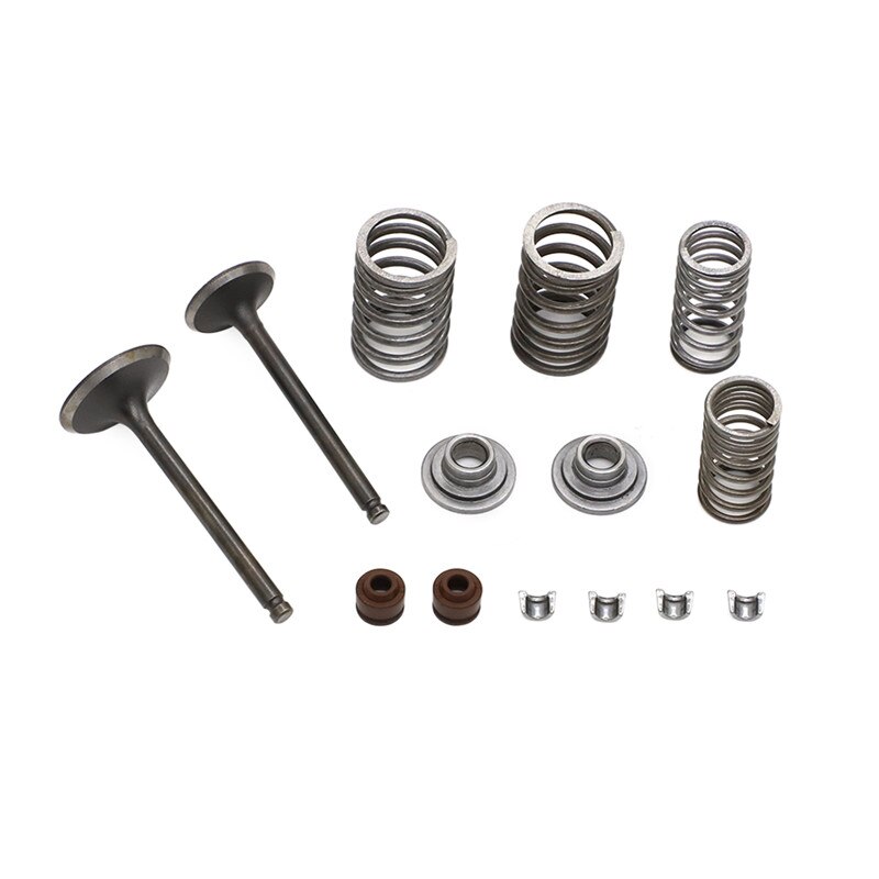 CYLINDER VALVES KIT for CHINESE SSR ROKETA COOLSTER TAOTAO TRUE 125CC ATV DIRT BIKE 125 cc Engine