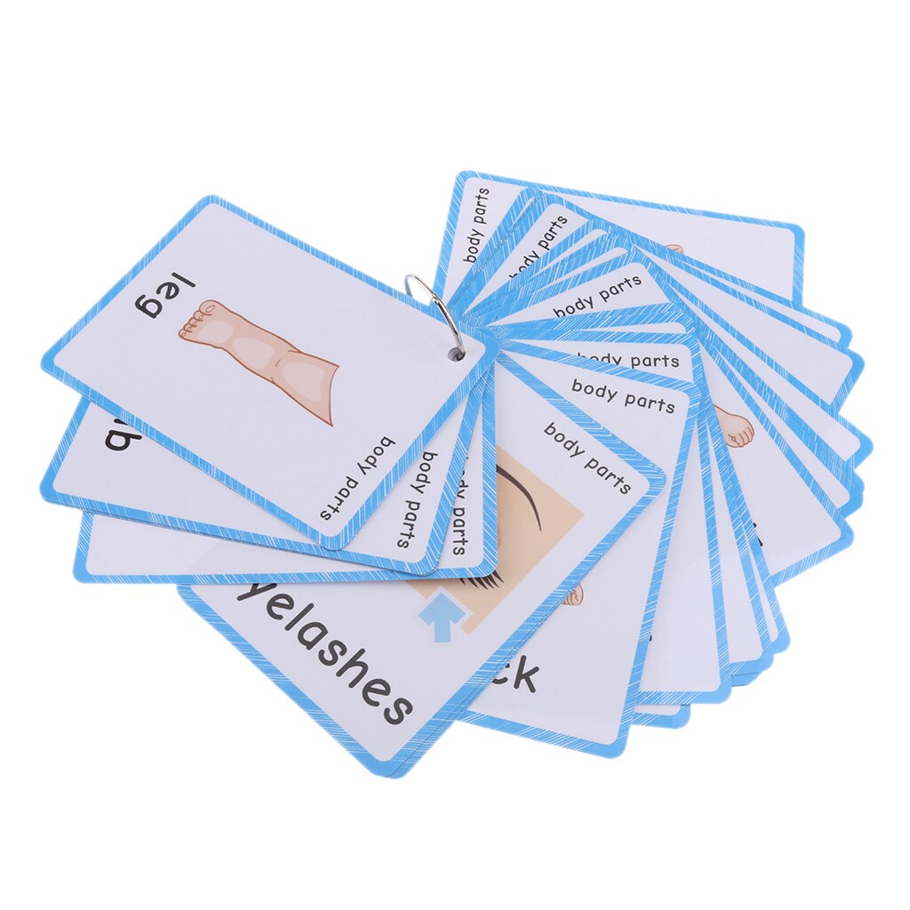 Flashcards With Ring Storing Adorable Illustrations Sight Word Flash Cards