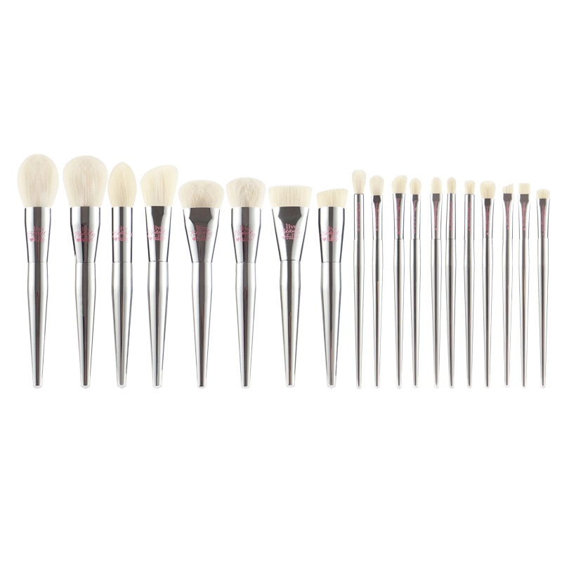19 stuks/set volledig functionele make-upkwasten set poeder blusher highlight oogschaduw wenkbrauw make-upkwasten zilveren jas