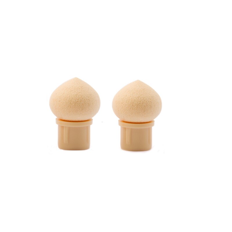 1 Set Double-headed Gradient Brushes Dust Brush Acrylic Rhinestone Sponge Nail Art Brush For Ombre Gradient Nails Manicure Tool: A 2pc Pointed head