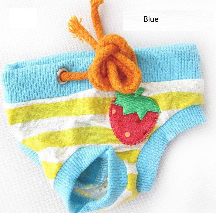Short de chien Teddy bon marché | Pantalon physiologique, petit chien de compagnie, sous-vêtements féminins, culottes physiologiques, tissu