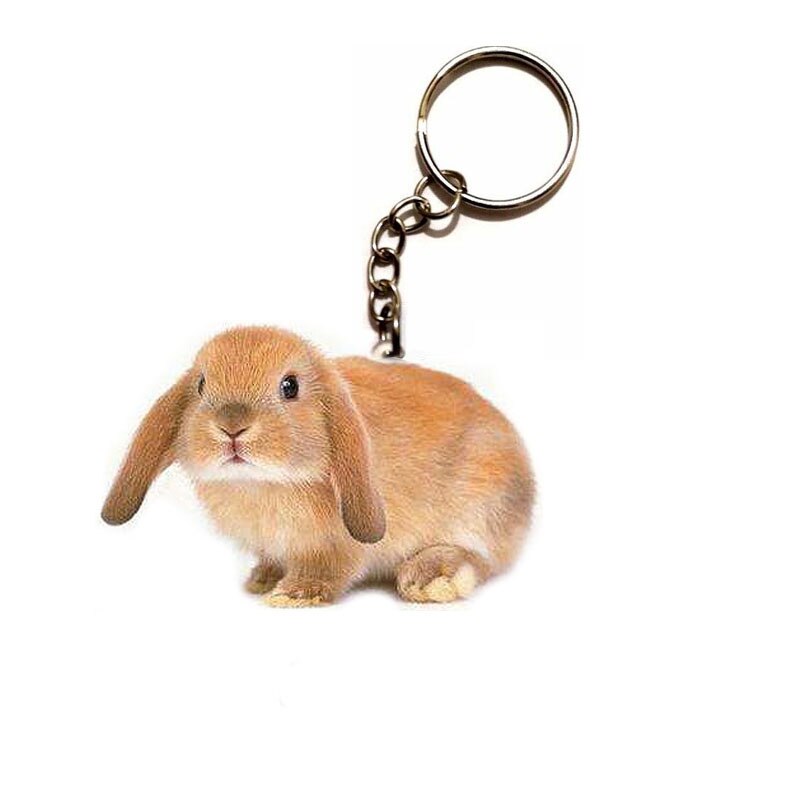 Cute Waschbär Acryl Keychain Fliegen Flügel Hunde stahl Schlüsselring Anhänger Besten Freund Schlüssel Kette Zubehör Schlüsselanhänger Männer Spielzeug