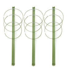 ! klätterväxter stöd, trädgård spaljé blommor tomat burar ställa  of 3 pack: Default Title