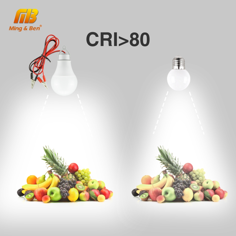 Lumière blanche d'urgence à basse tension, ampoule blanche LED lampe à LED ampoule LED d'urgence, pour l'inspection de Camping, éclairage d'extérieur, à basse tension, LED DC12V, 7W, 9W, 12W, 15W