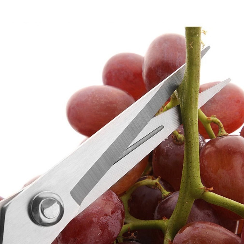 Havesaks beskæringssaks frugtplukkesaks