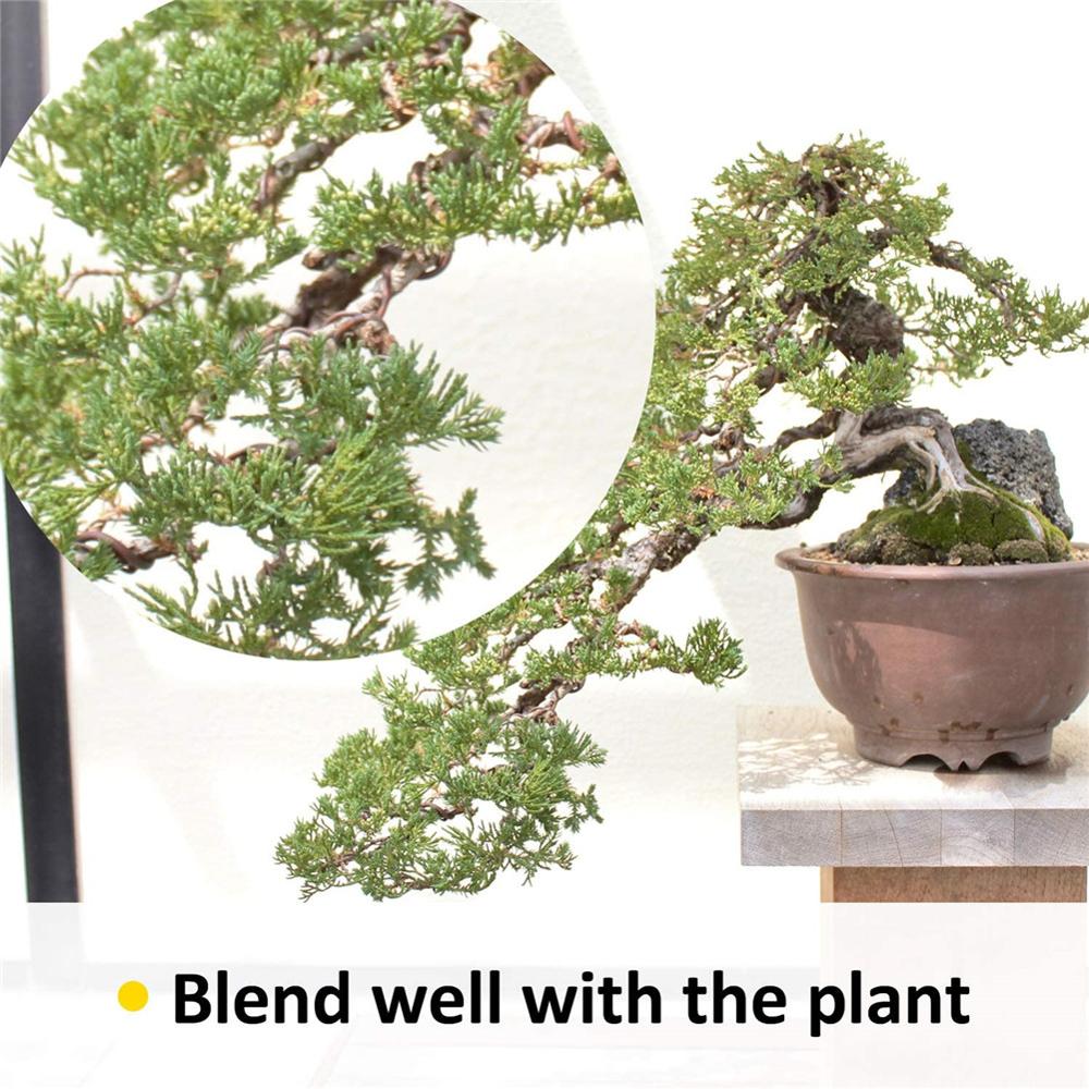 5 Rolls Bonsai Wires Anodized Aluminum Bonsai Training Wire with 3 Sizes (1.0 Mm,1.5 Mm,2.0 Mm)