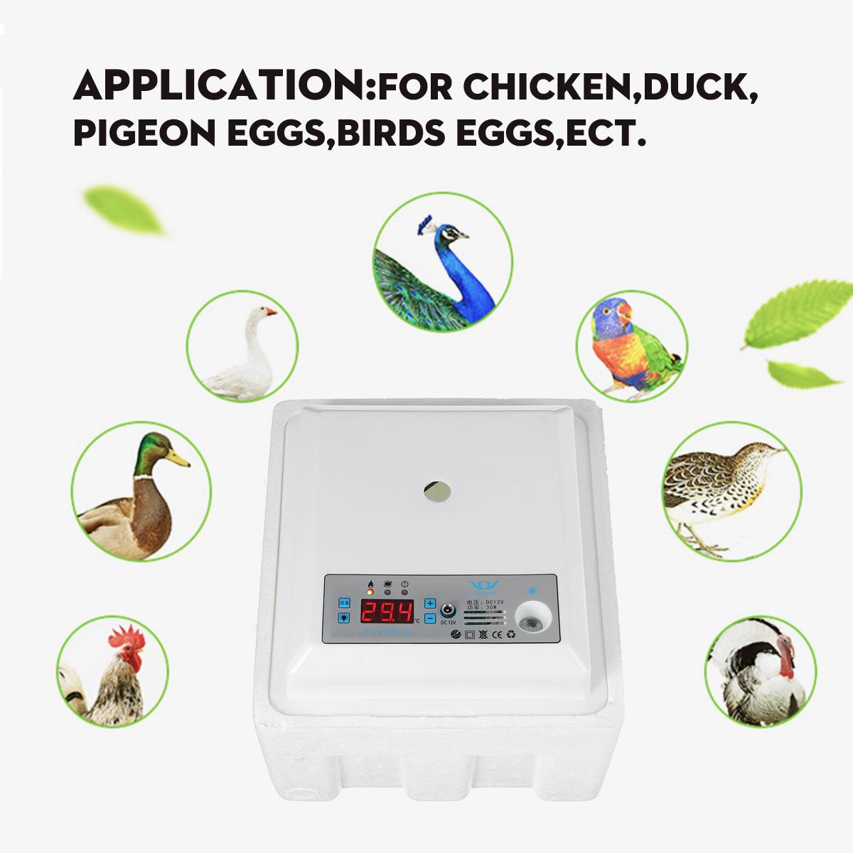 Incubation Box Egg Digital Incubator Automatic Suitable for Hatching Snake Lizards Reptiles Reptile Egg Box Reptile Breeding Box