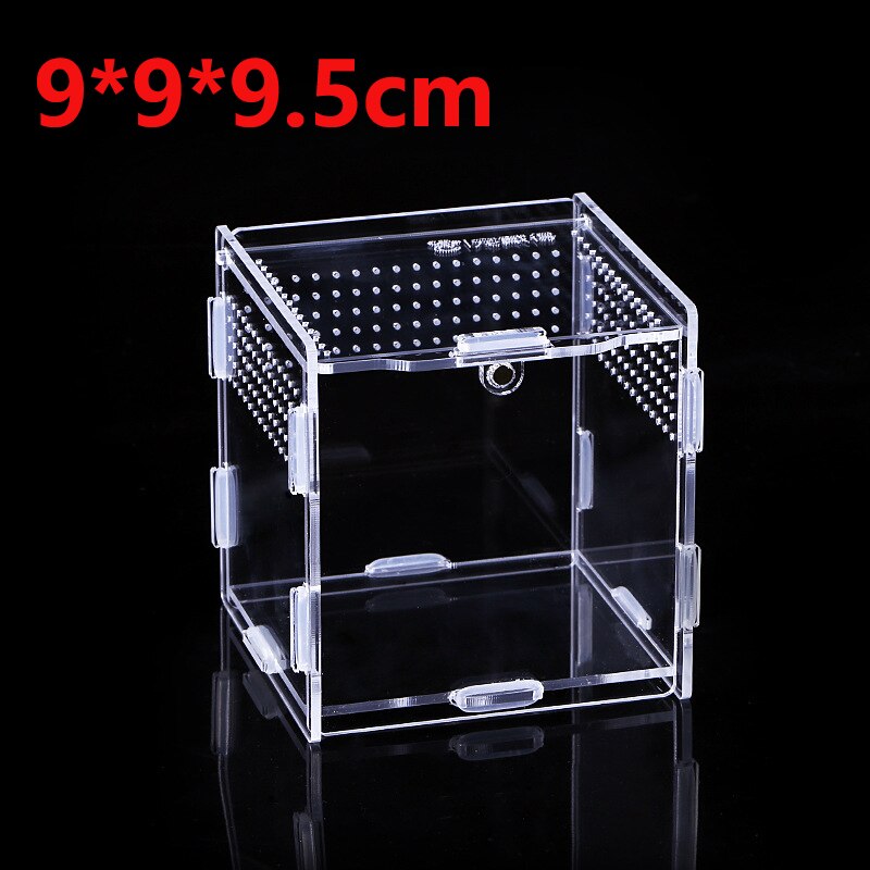 Reptile Breeding Box Acrylic Spider Lizard Scorpion Enti&#39;s Acrylic Assembled Transparent Insect Breathable Terrarium: 9x9x9.5cm