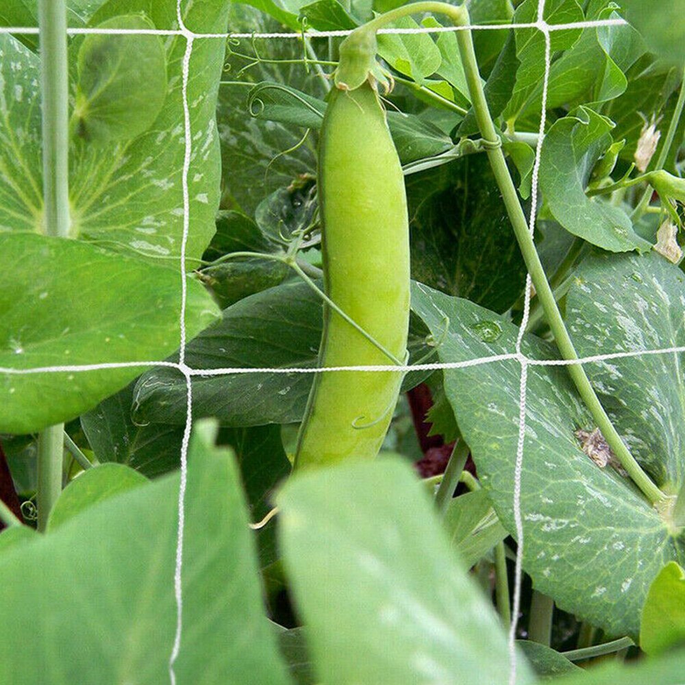 Vine Landing Garden Weaving Grow Frame Trellis Netting Polyester Mesh Support Vegetable Flower Cucumber Plant Climbing Net