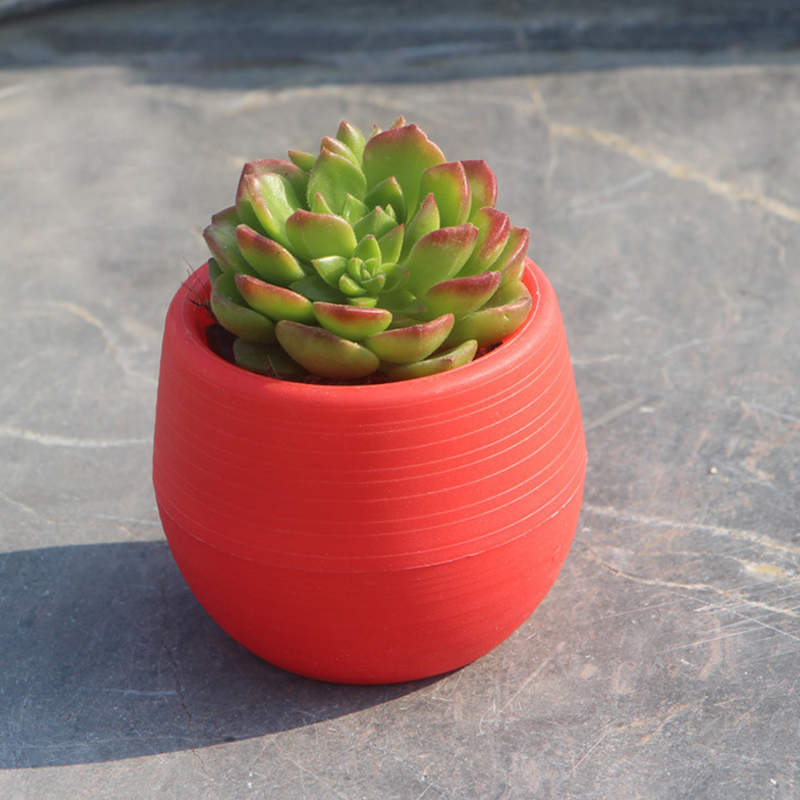 Jjyl80 Mini pot de fleurs | Mini pot de fleurs en plastique incassable pour plantes succulentes, sur le jardin de bureau: 1