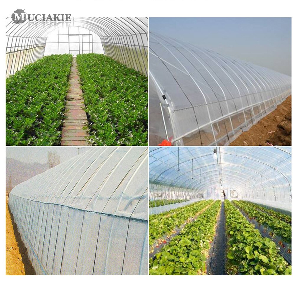 50M Plastic Steel Wire Film Band Film Tension Rope Fasten Band for Vegetables Greenhouse Agricultural Climbing Vine Holder