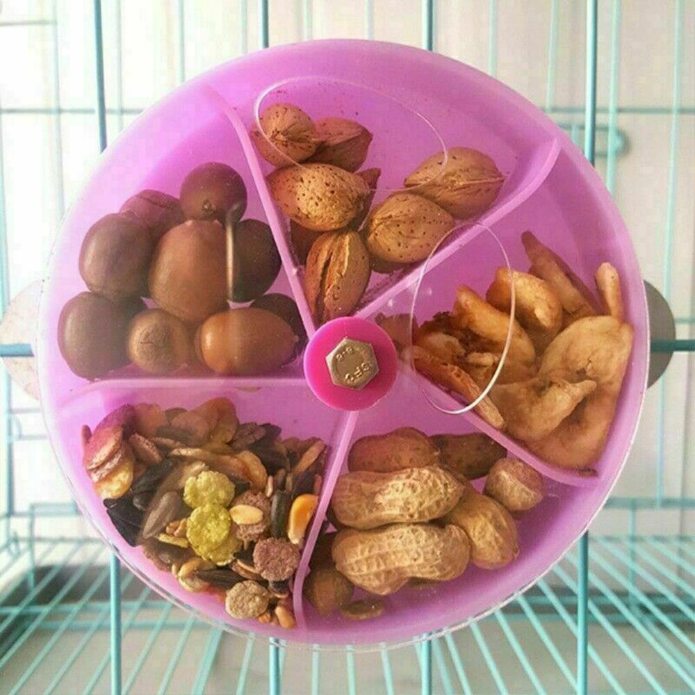 Modèle de gâteau perroquet oiseau, boîte à nourriture, jeu de cerveau, jouet drôle, roue d&#39;alimentation, 1 pièce
