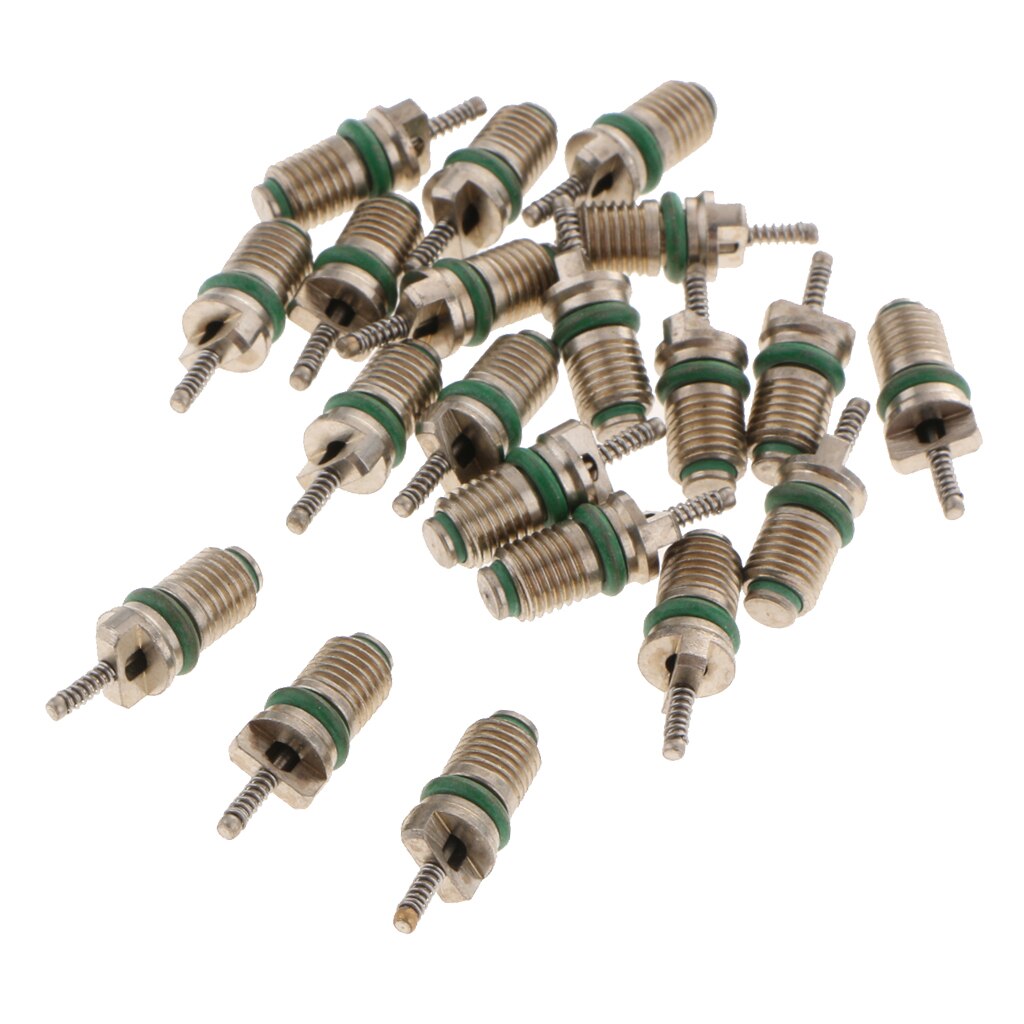 20 Pieces High Pressure Car Air Conditioning R134A Core Valve Service Kit