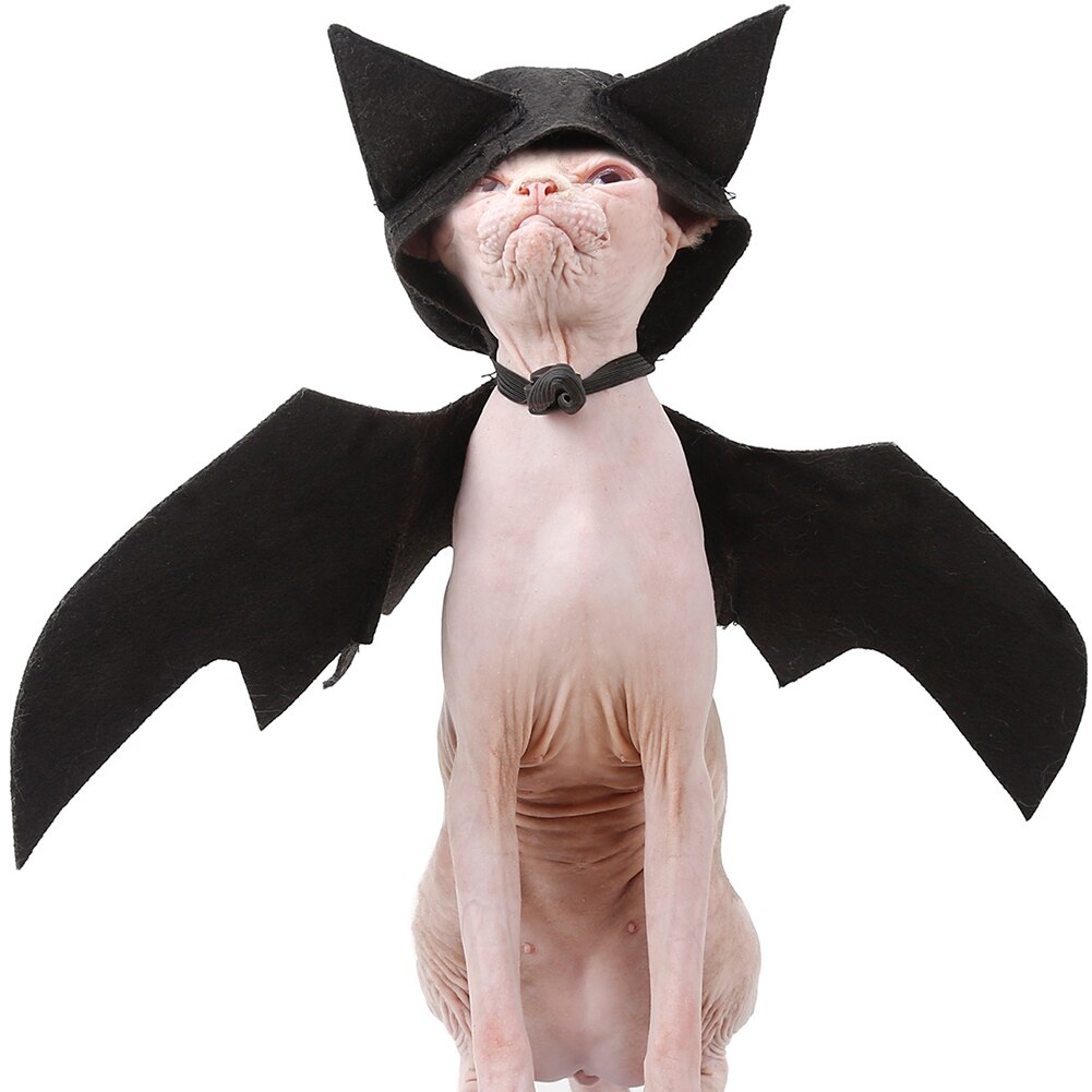 Godt sundt dyr kæledyr hund kat flagermus vinge med hætte halloween fancy dress kostume outfit filt klud sort