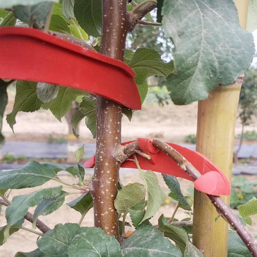 100 Uds. Doblador de ramas de árbol de Frutas de plástico, herramienta de jardín, dispositivo de fijación de ramas de árbol, modulador de planta, ajustador de troncos, herramientas bonsái