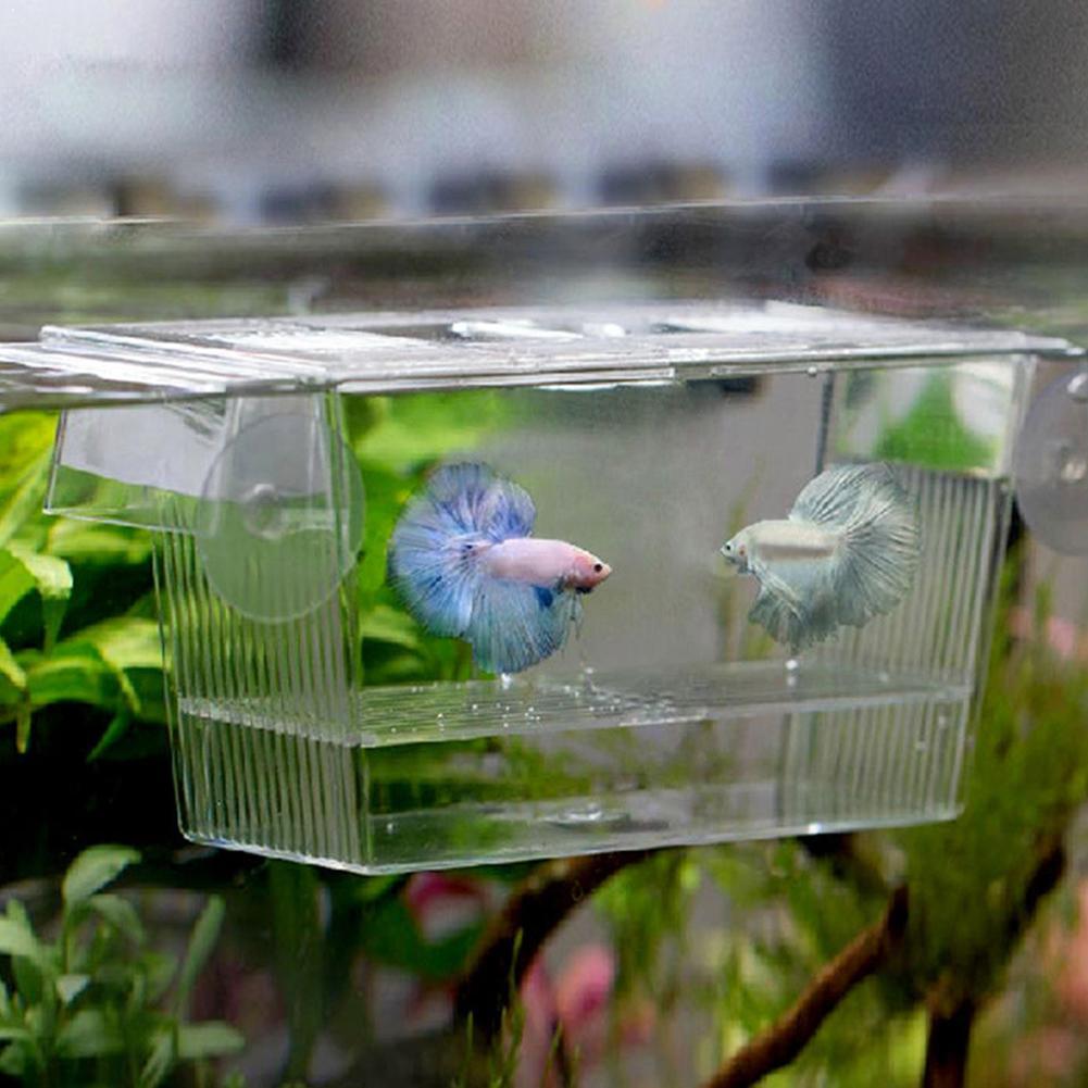 Double-Deck Transparent Acrylic Fish Tank Isolation Fish Fish Tank Holder Box Incubator Aquarium House Breeder Hatching K8O4