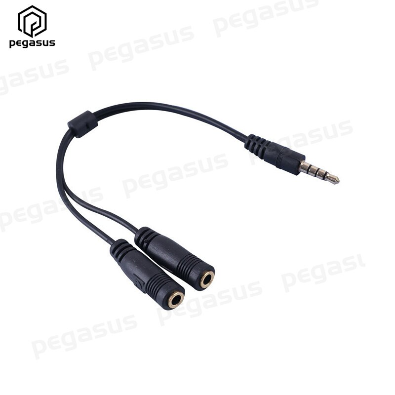 Câble Audio stéréo TRRS DC 3.5mm, 2 pôles mâle vers 2x3.5mm, pour Microphone d'ordinateur, 20CM