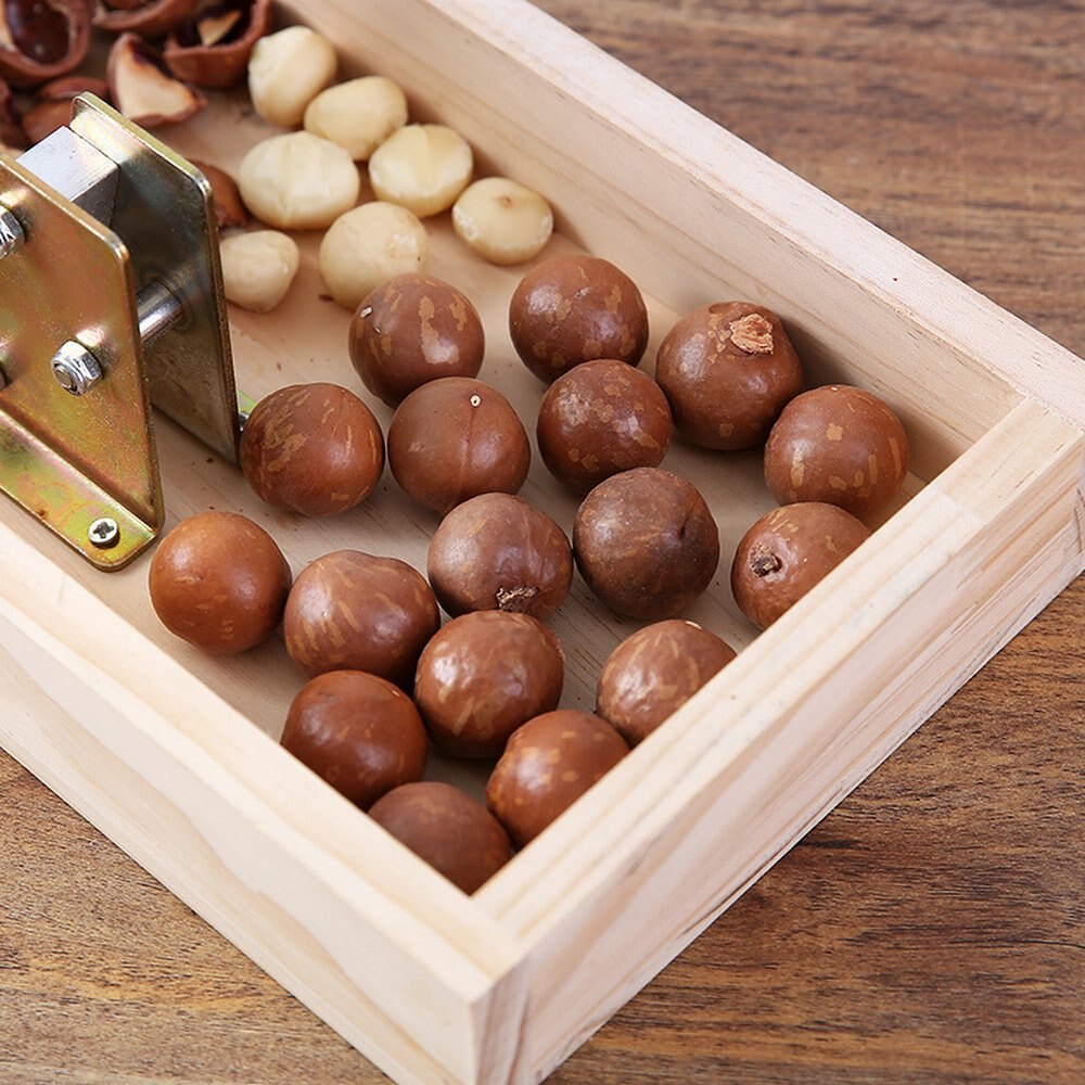 Machine à éplucher les noix, éplucheur robuste avec manche en métal Durable, ouvre-noix, Macadamia, pour noisettes, amandes
