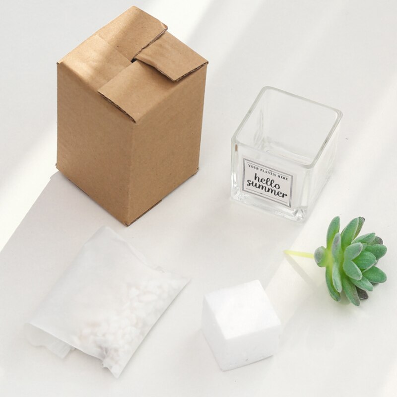 Planta de simulación nórdica, Mini planta suculenta en maceta, péndulo , botella de vidrio de piedra verde, planta decorativa de escritorio en maceta