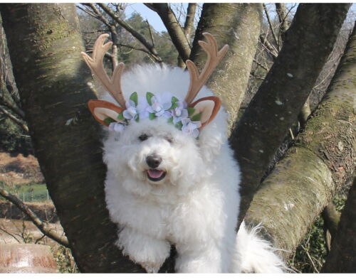 Diademas de Navidad para mascotas, asta de ciervo, banda Floral para la cabeza, accesorios de aseo para perros, gatos y cachorros