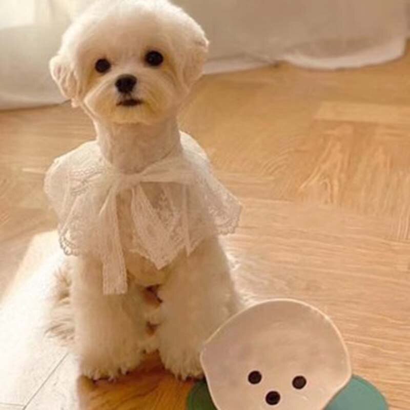 Huisdier Zomer Cooling Sjaal Kat Hond Speeksel Pocket Teddybeer Hond Sjaal Driehoek Sjaal Kant Puppy Speeksel Handdoek Huisdier Accessoires