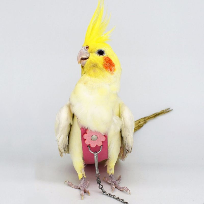 Fugle papegøje fløjl læder ble cockatiel duer flydragt tøj afføring lommetræning justerbar kæledyrsforsyning