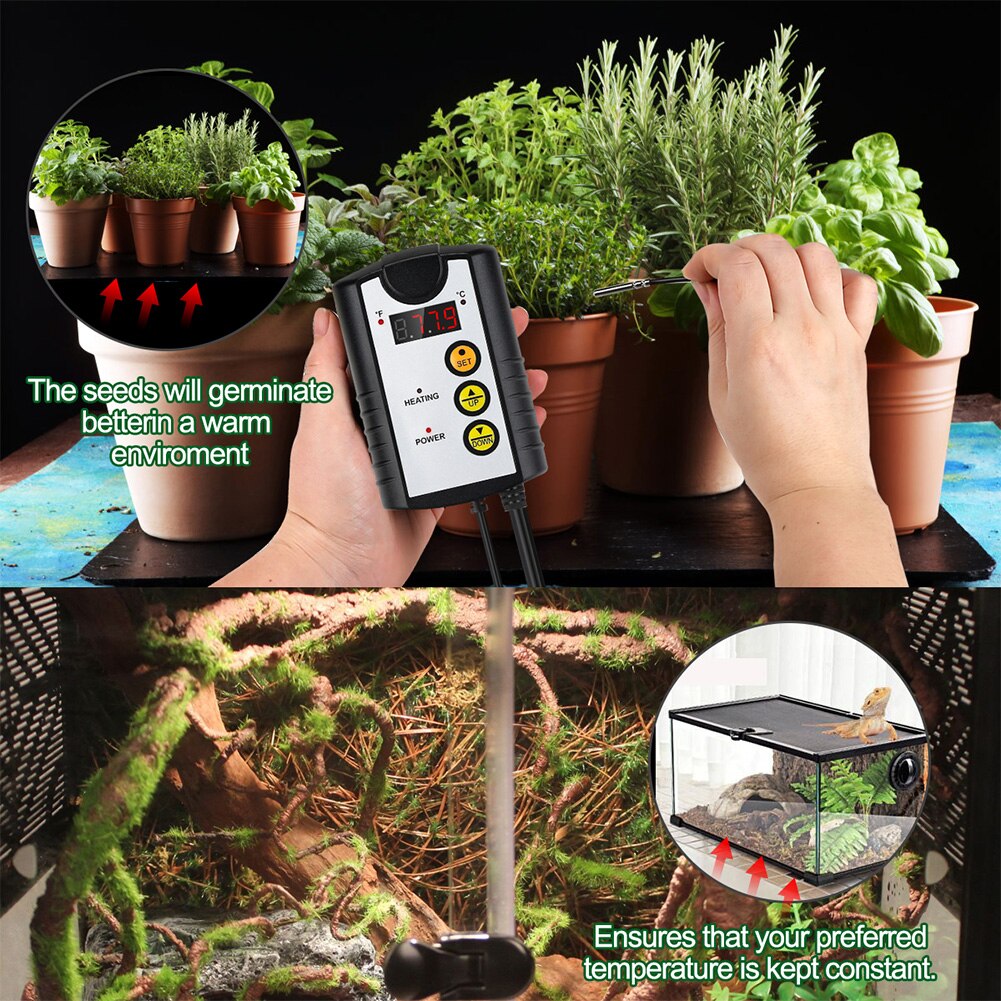Thermostat d'Incubation - 72W - Prise US - pour Plantes, Reptiles, Serre