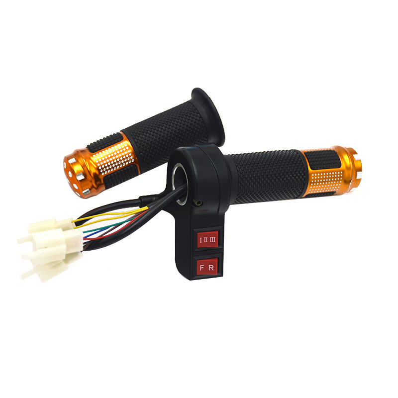 L-faster 24 V36 V 450 W elektromotor installatieset elektrische scooterfiets motor GNG E-fiets bewegings-installatieset zeldzame aardmotor MY1018 (gemonteerd) (24 V450 W L-faster 24 V36 V 450 W elektromotor installatieset elektrische scooterfiets motor GNG E-fiets bewegings-installatieset zeldzame aardmotor MY1018 (gemonteerd) (24 V450 W