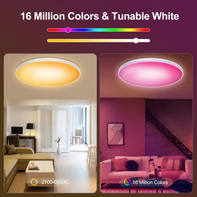 15W Rgb Dimbare Tuya Wifi Smart Led Plafondlamp Plafondlamp App Controle Voice Control Werkt Met Alexa Google assistent