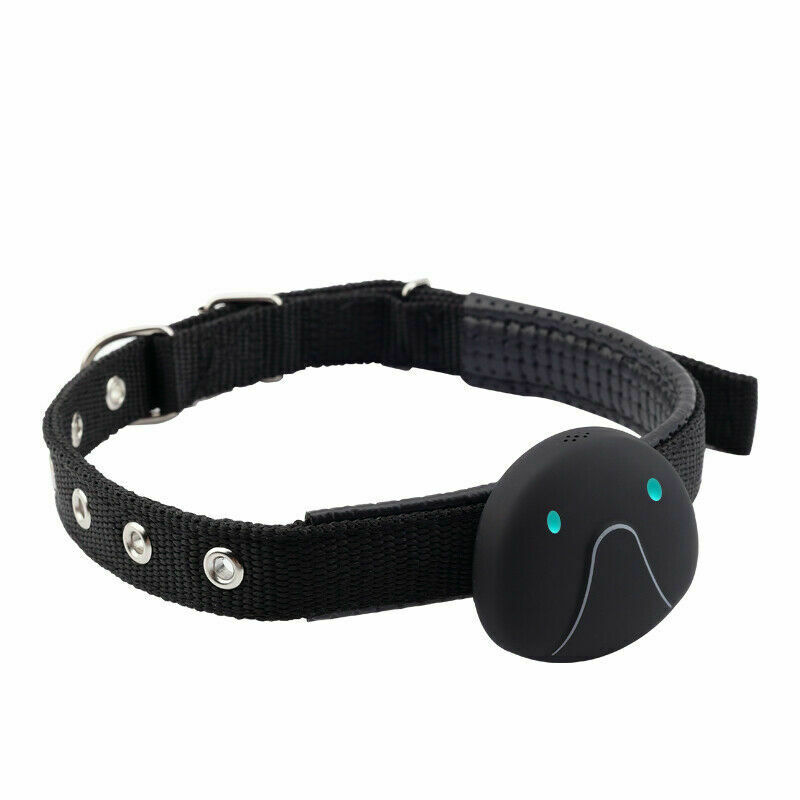 Smart husdjur gps gsm gprs halsband tracker övervakar hund katts husdjur lokaliserare vattentät: 1