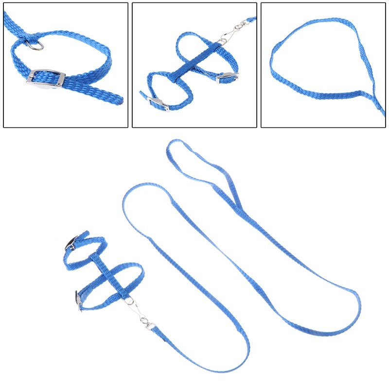 Adjustable Hedgehog Harness For Training Playing Traction Rope Cord For Pets