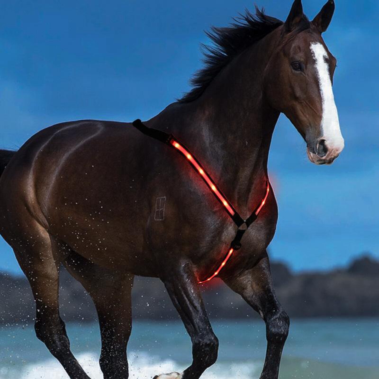 Reflekterande hästsele bröstplatta bröstkrage lampor led natt synlig säkerhets led stap gör din häst synlig och synlig