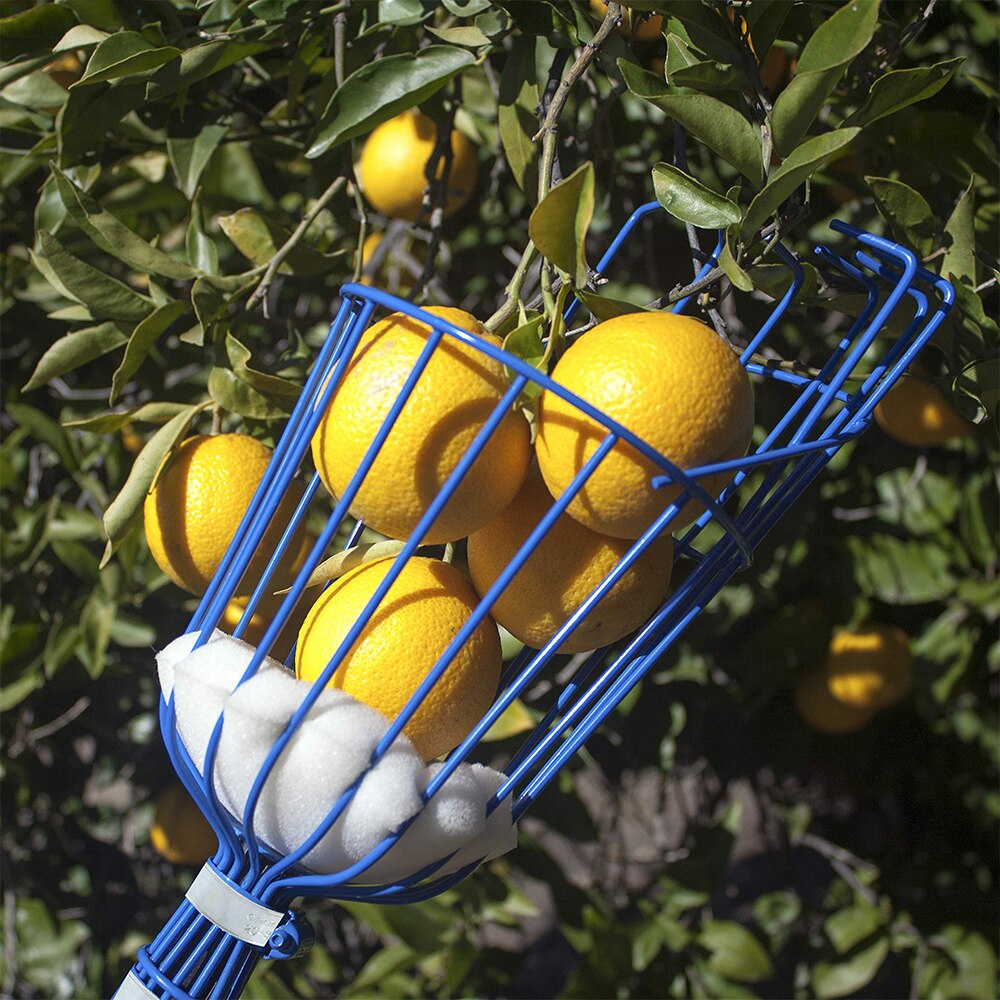 Hooggelegen Fruit Picker Picking Tool Fruit Cathce... Grandado