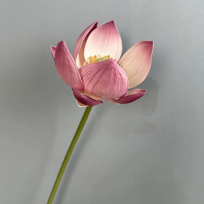 Artificial Flower EVA Lotus with Pole Lotuses Leaves Home Living Room Pastoral Style Decoration Simulation Pink White Flowers: Light Grey