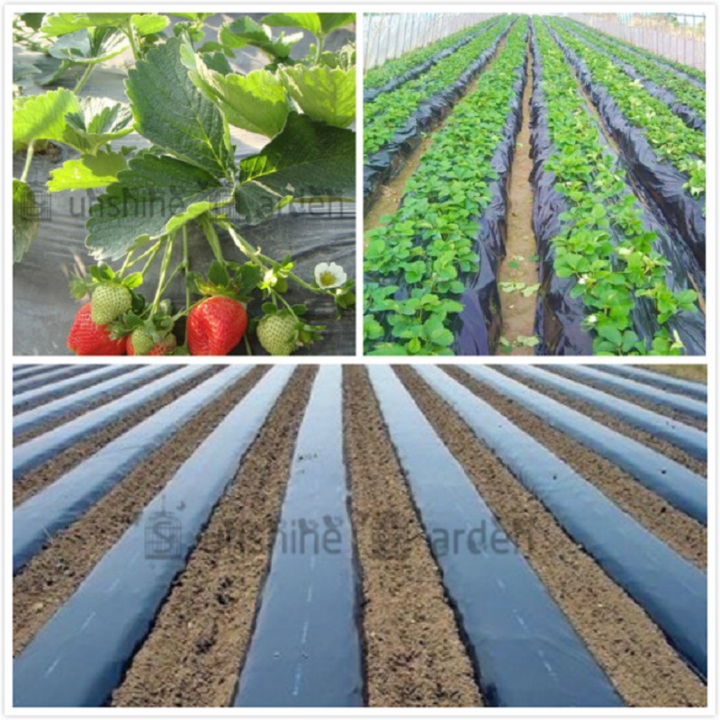 Black Agricultural Shade Film 1x50Meters Strawberry PE Film Garden Flower Greenhouse Plastic Mulch Film 0.008mm Thickness