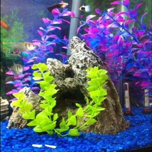 1pcs Kunstmatige Wonder Vis Plant Plastic Aquarium Planten Accessoires Aquarium Ornament Decor