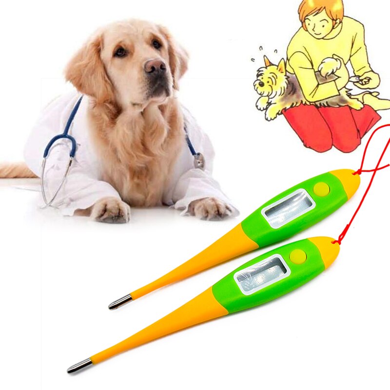 1Pc Digitale Thermometer voor Honden Kat Varken Dieren Elektronische Thermometer Professionele Medische Hulpmiddelen Veterinaire Benodigdheden