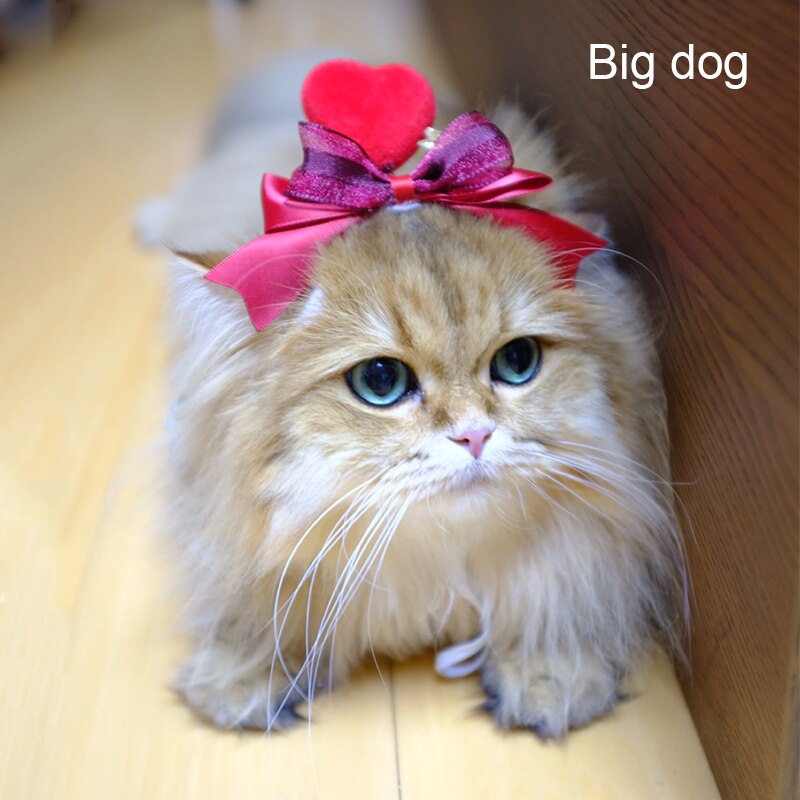 Tocado de gato Manual para el Día de San Valentín, conjunto de cabeza de perro, accesorios para el cabello de mascotas, horquilla, accesorios para gatos, suministros para mascotas: B